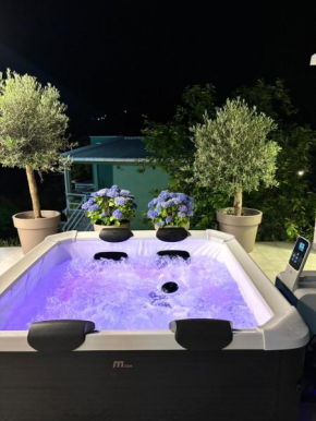 Apartments and spa MIONA
